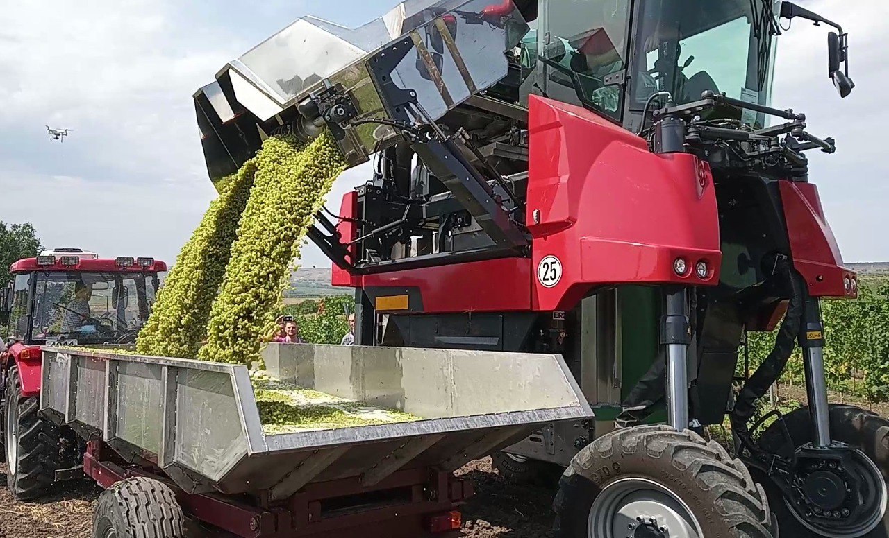 Аренда комбайна для сбора винограда