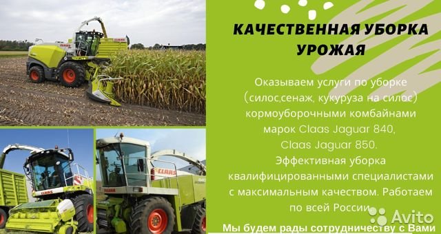 Александр Елисеев